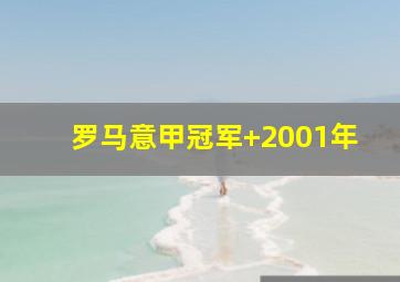 罗马意甲冠军 2001年